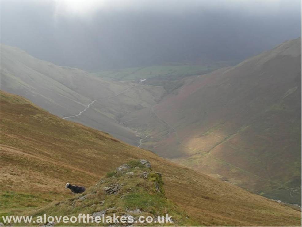  Looking back down towards Buttermere from the climb up to Knott Rigg