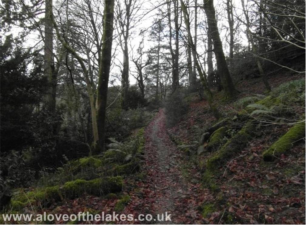 A love of the Lakes - The start of the path