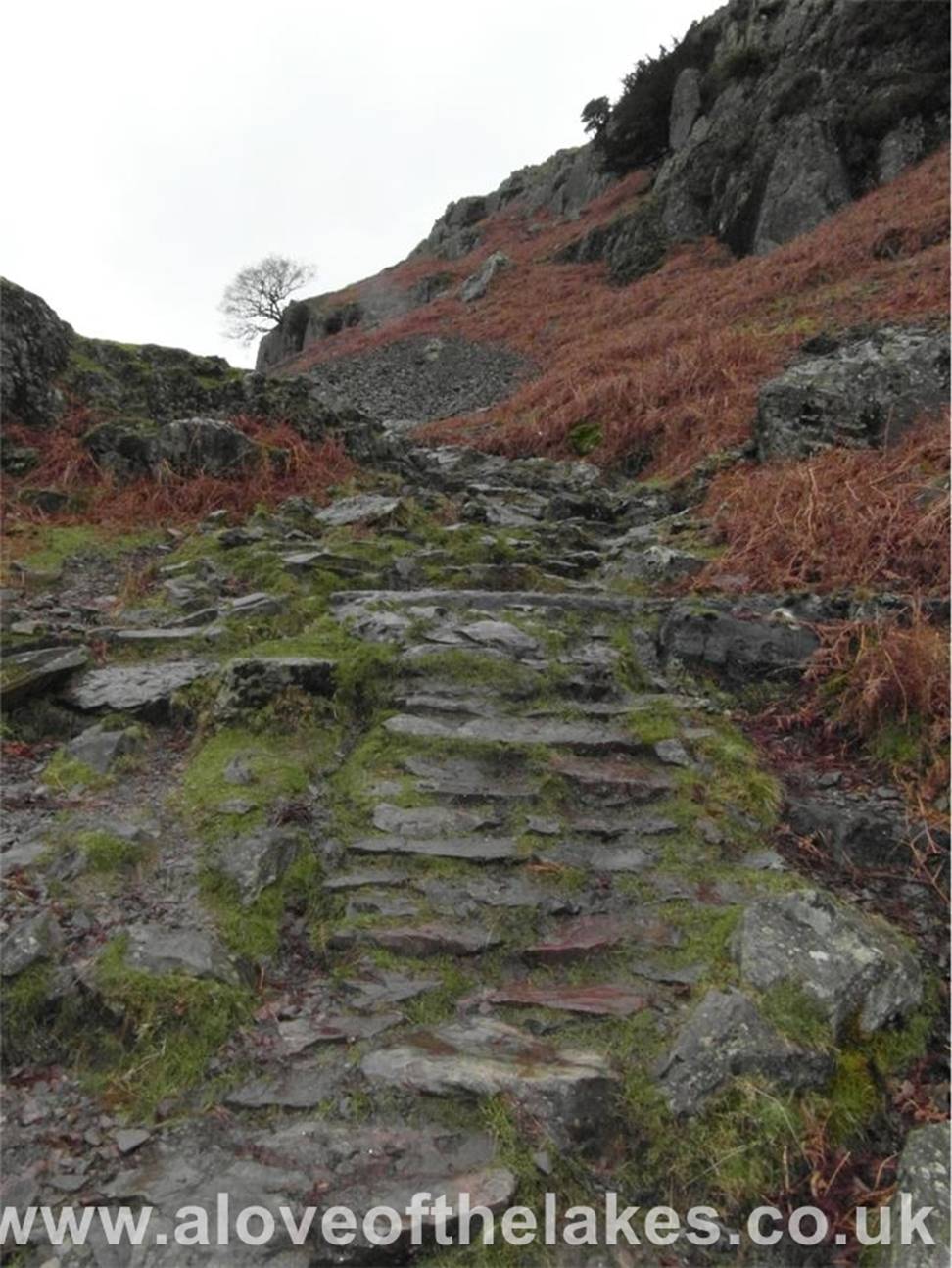 A love of the Lakes - Slightly higher up the staircase and the gradient eases a little