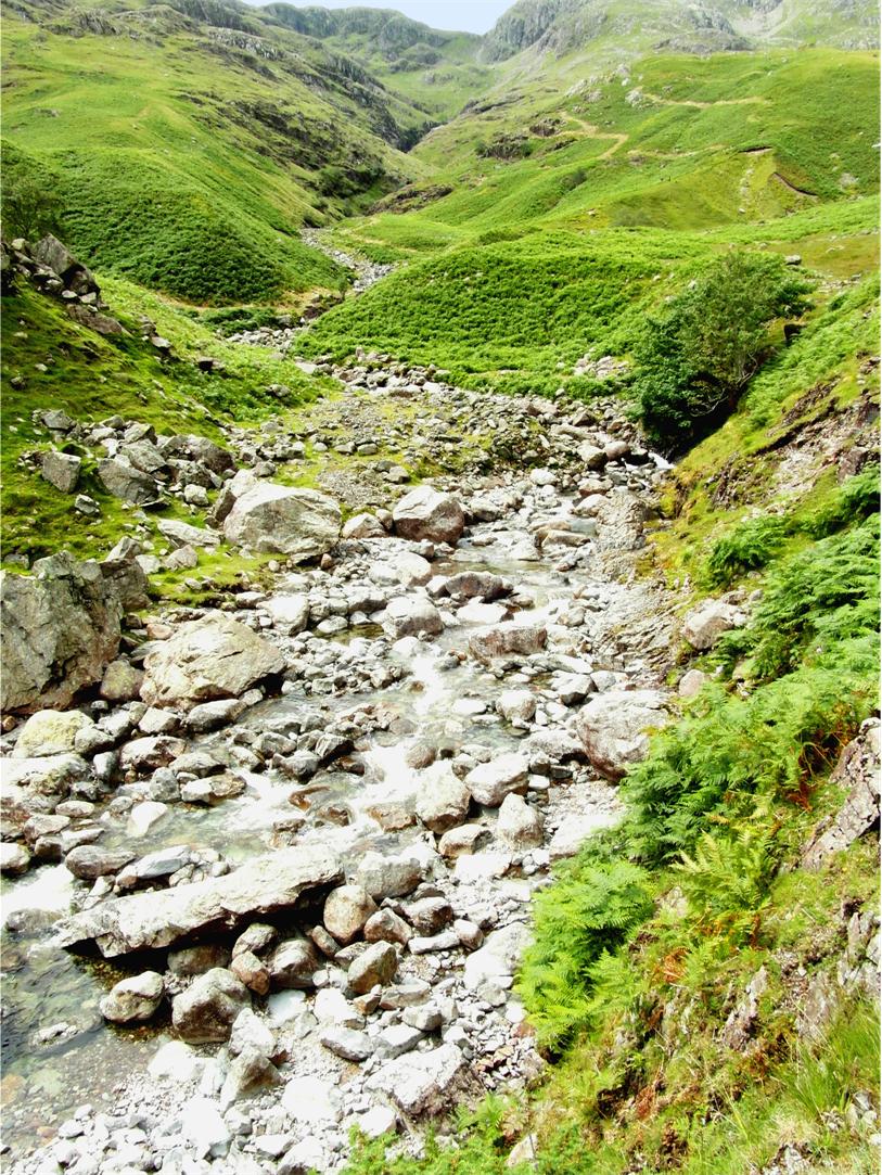 A love of the Lakes - Close up of the Beck