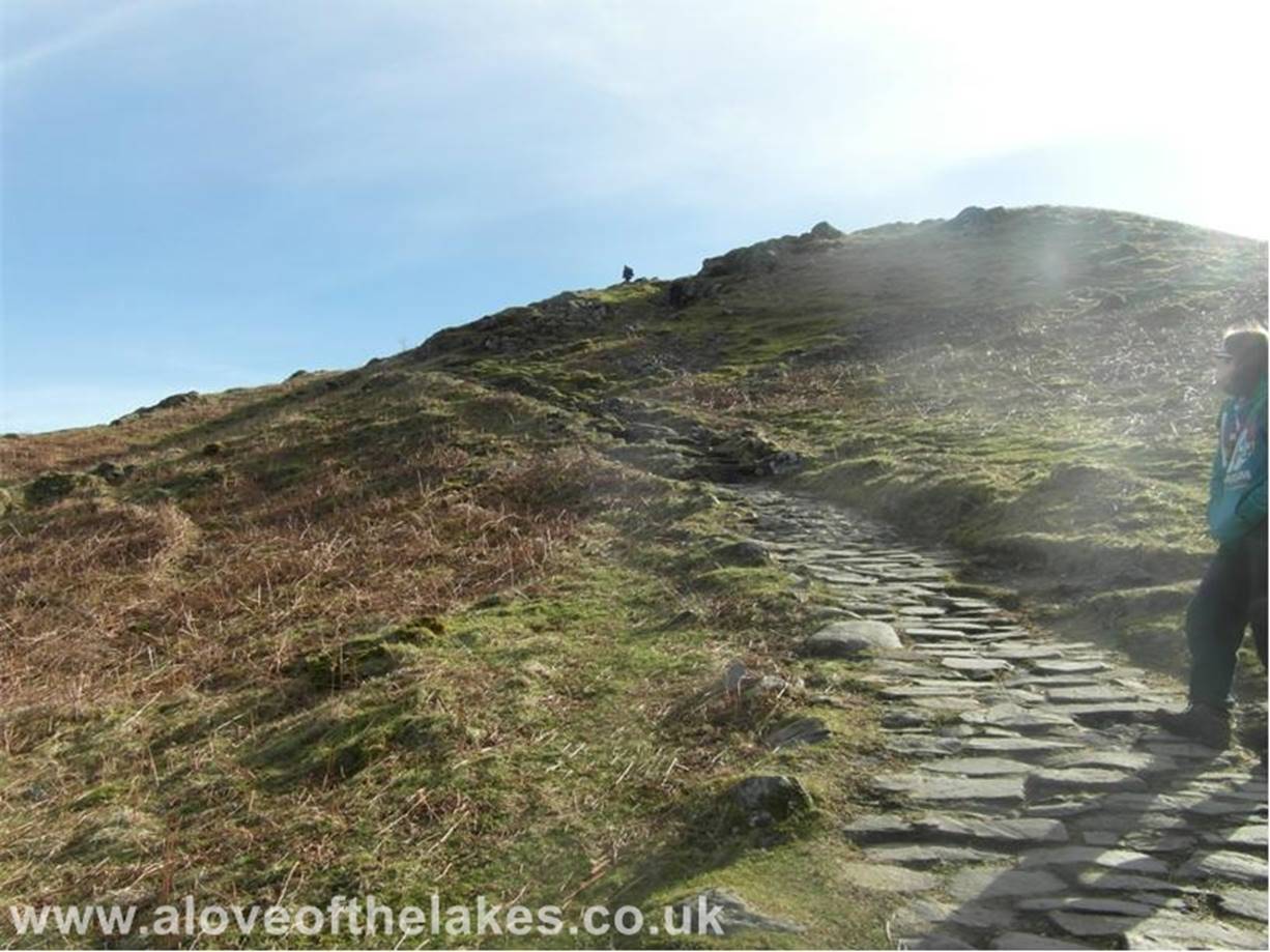 Continue to the very end of the Terrace to pick up the start of the main path to the summit