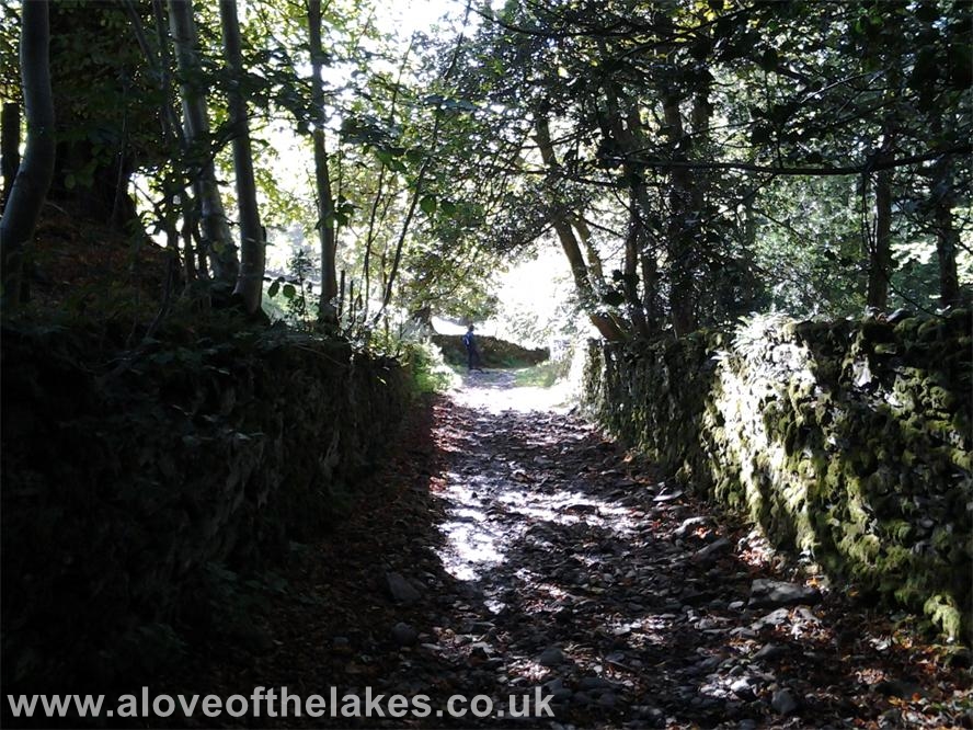A love of the Lakes - Starting out through the woods just opposite the Church