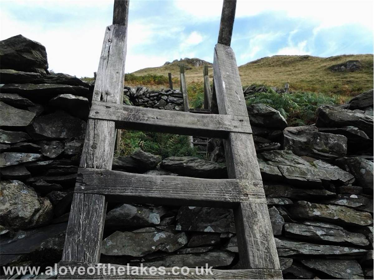 Once across the Dubbs Road the third stile gives access to the open fell side