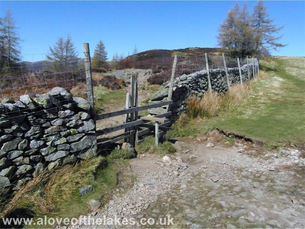 Continue on along the left fork until you reach the stile in the fence that crosses over the stone wall

