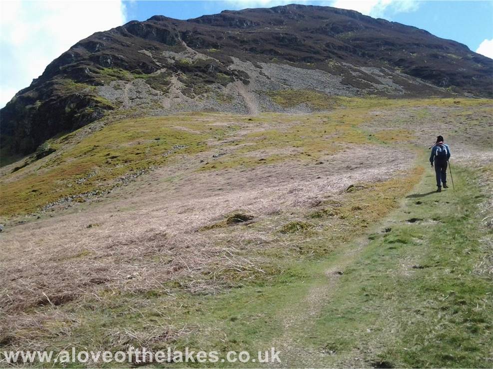 Through the wooded area and the scale of the climb now becomes clear. The scree path left of centre 
is the route that we take
