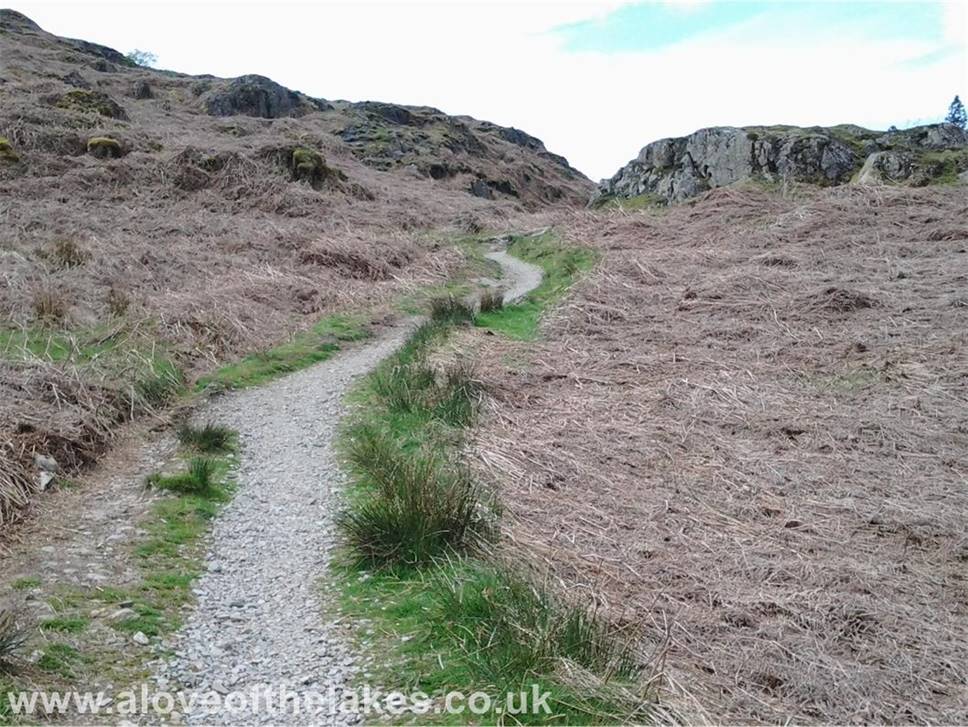 Follow the path round through a line of crags to the Glemara Park boundary wall