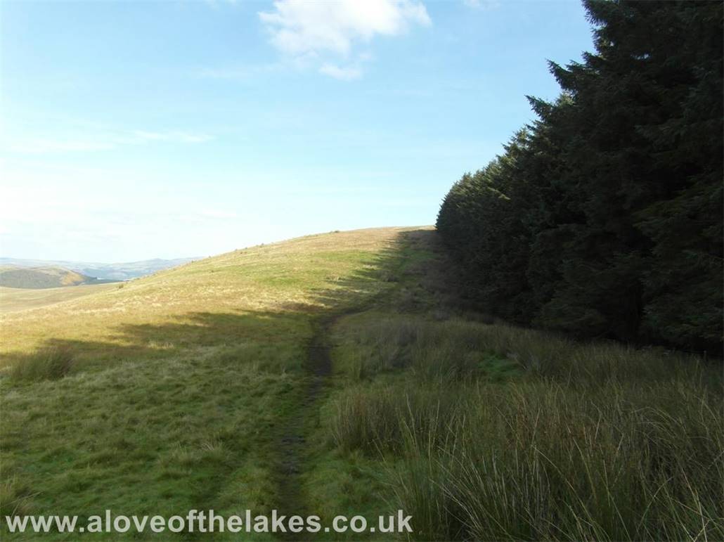 Skirting the edge of the plantation, the track leads on to Broom Fell