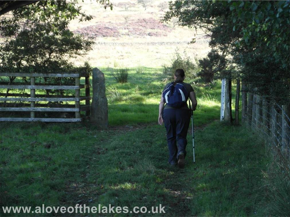 Through the gate at the end of the track and follow the path that leads on to the open fell side