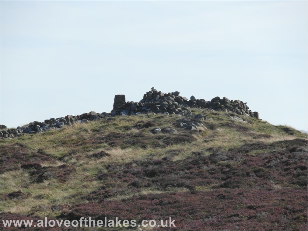 The summit of Binsey