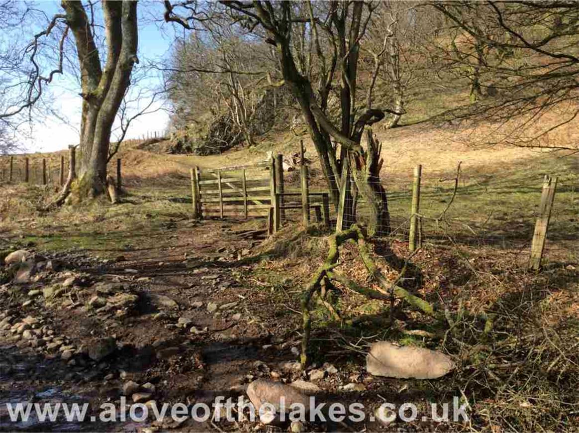 About two to three hundred yards on the right is a gate and stile through which a path leads to the open fell side