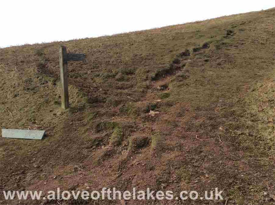 A wooden signpost indicated the grooved path to take to the summit
