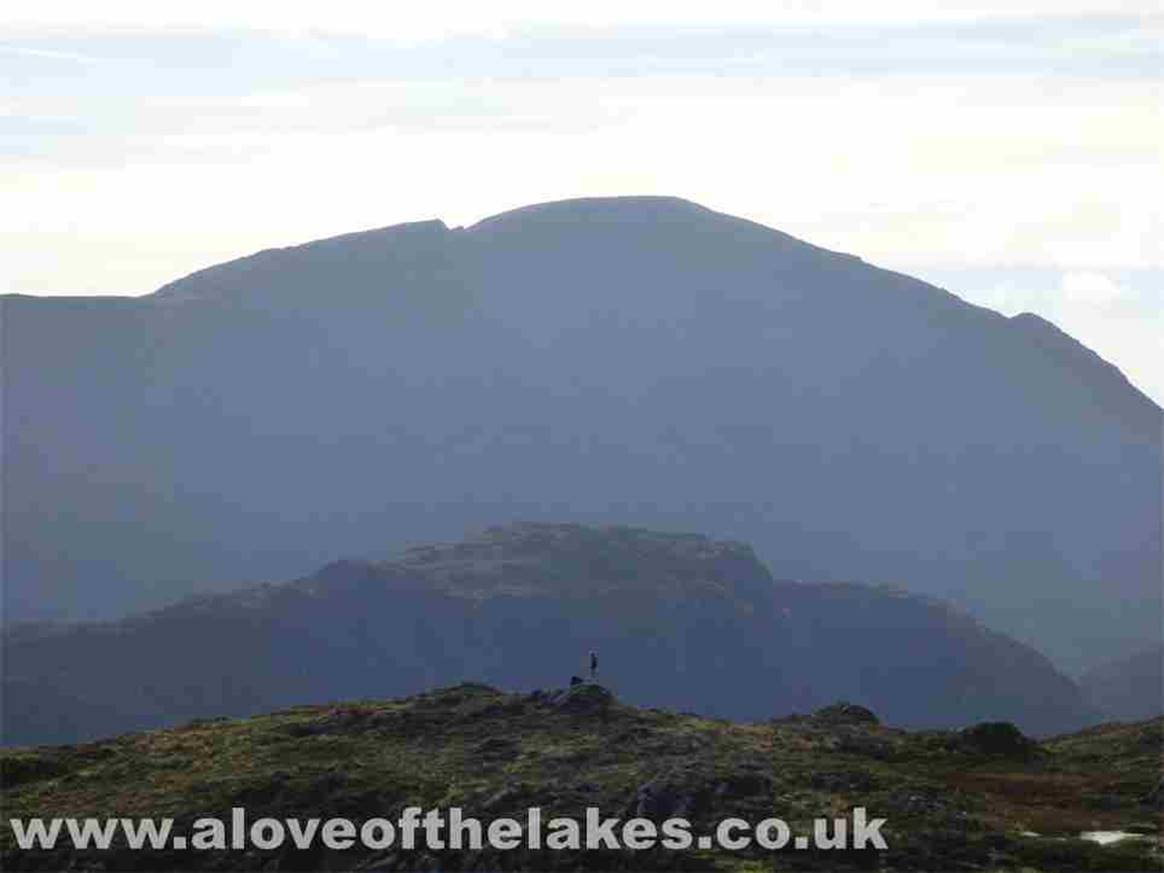 Looking across to the West and Pillar towers over the tiny Haystacks