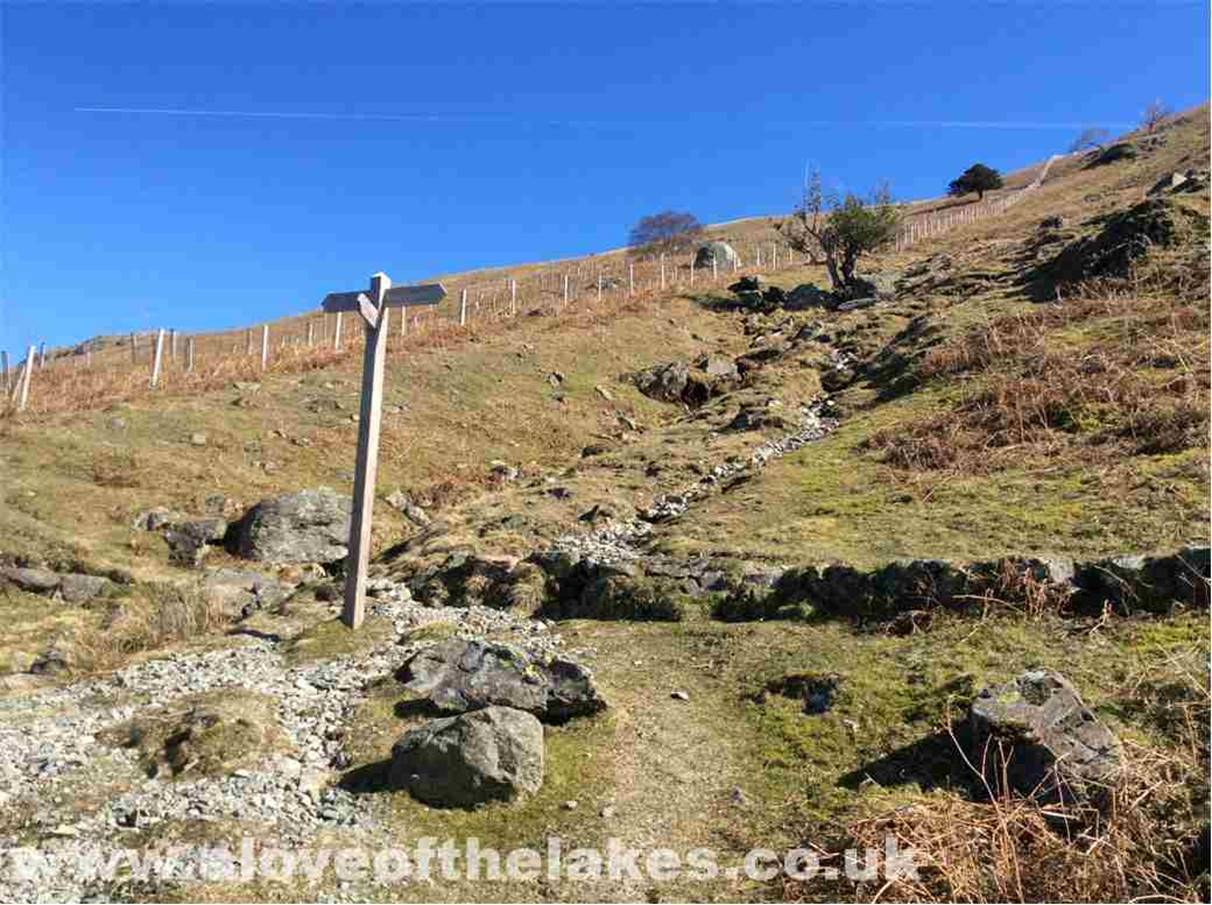 Knowing what I now know, my advice would be to head across to the wire fence and pull your way up the steep fell side rather
than what I did using the intermittent stone path (formerly the old Pony route)
