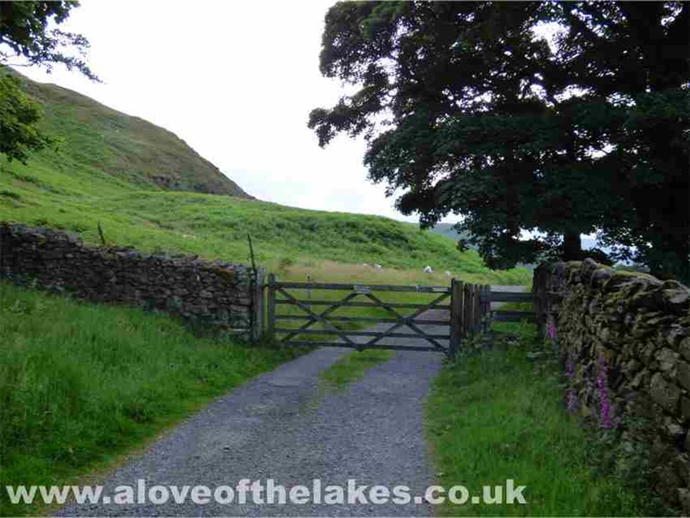 Carry on down the path and through the gate that leads on to the open fell side immediately on the left