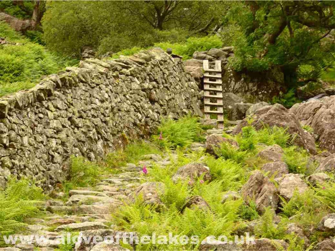 Climb over the stile to start the trail over a stone path