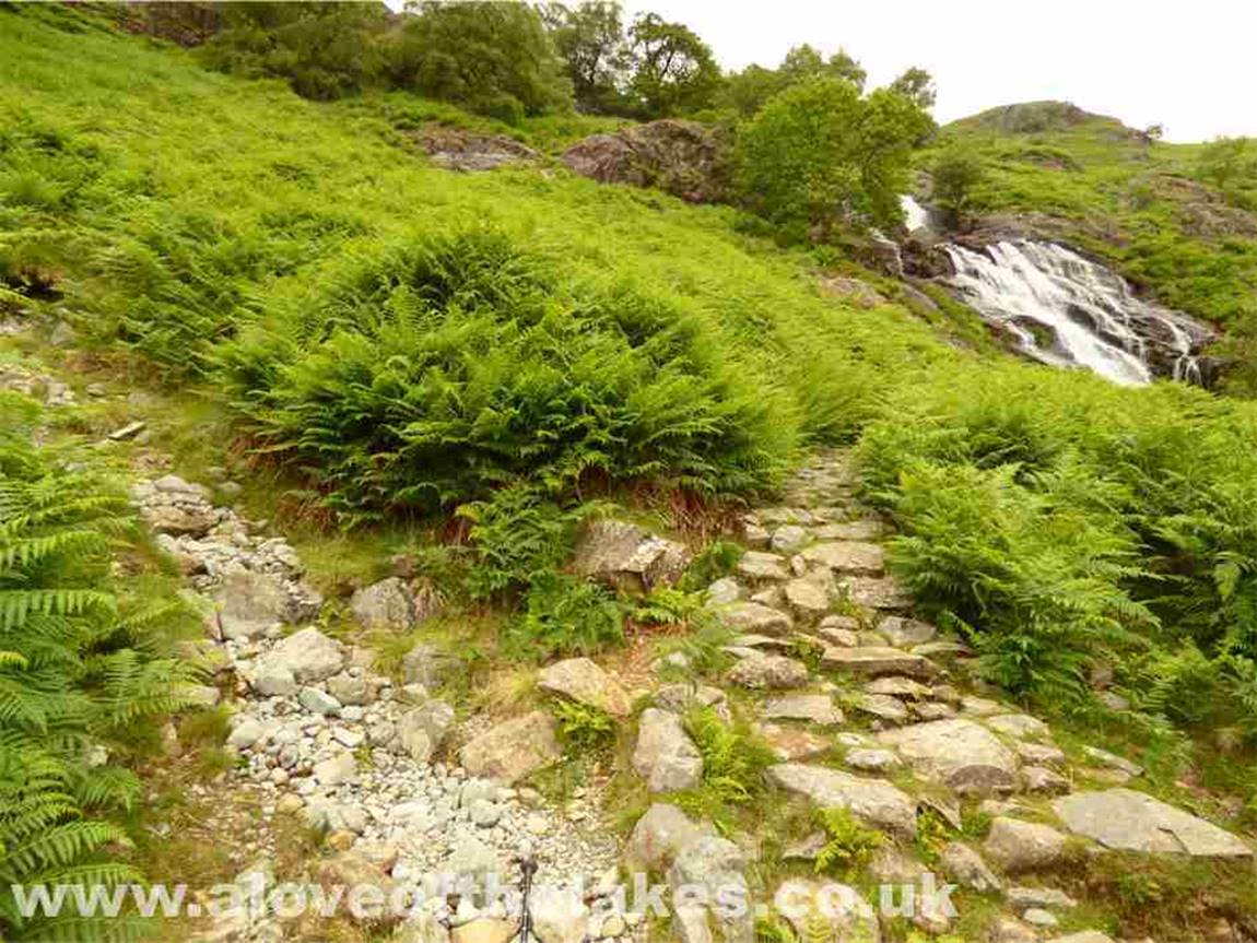 The path reaches a fork. The right for leads to a viewing platform for the waterfall