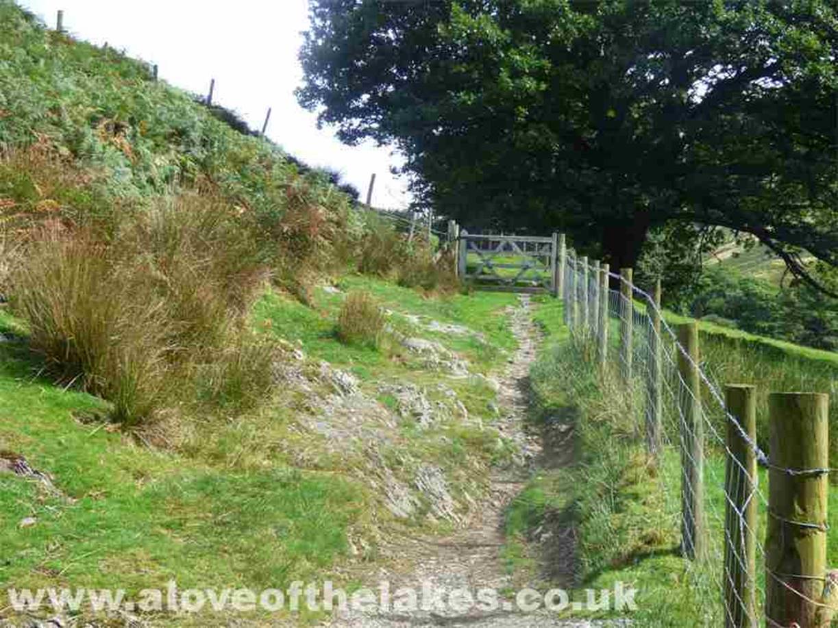 Not long past the cottages, a barred gate gives access to the open tracks of the lower fell side