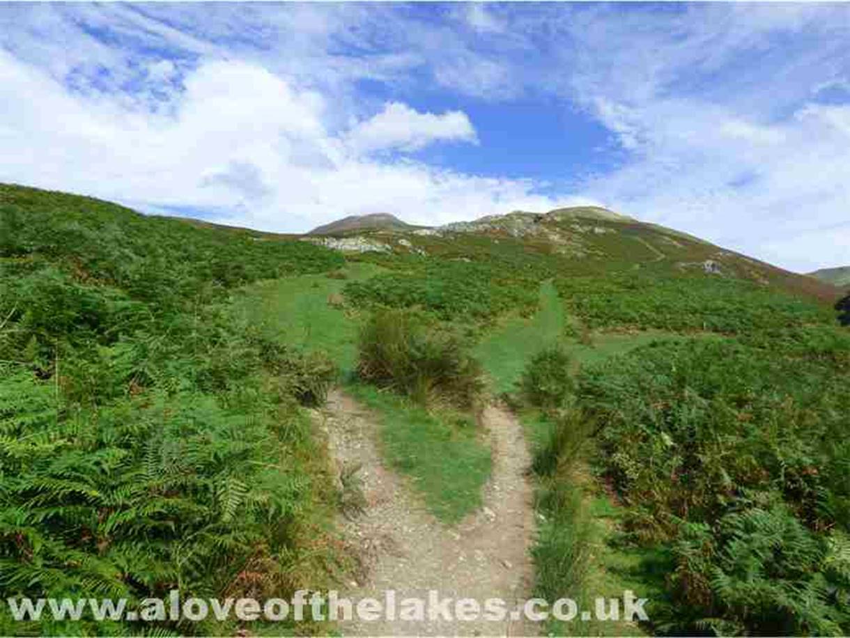 Shortly after passing through the gate the path forks, We took the left fork initially heading towards High House Crag