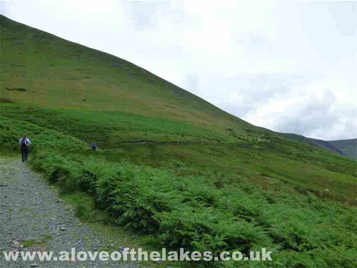 The track climbs very gently towards the Col that leads on to the Northern ridge of the Fell