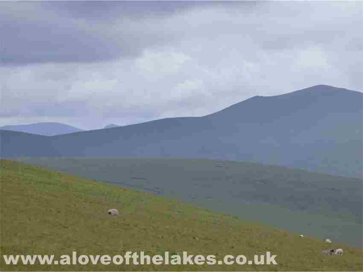 Looking towards Skiddaw