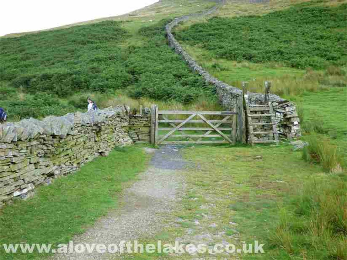 Eventually the bridleway reaches a gate and a stile, which if followed through leads on to the circular path walk above Loweswater. We took
a small detour to take in the fine views to be had, note though that the track we follow to Burnbank Fell summit (avoiding all steepness) takes
a sharp right at this point  see the shot later on
