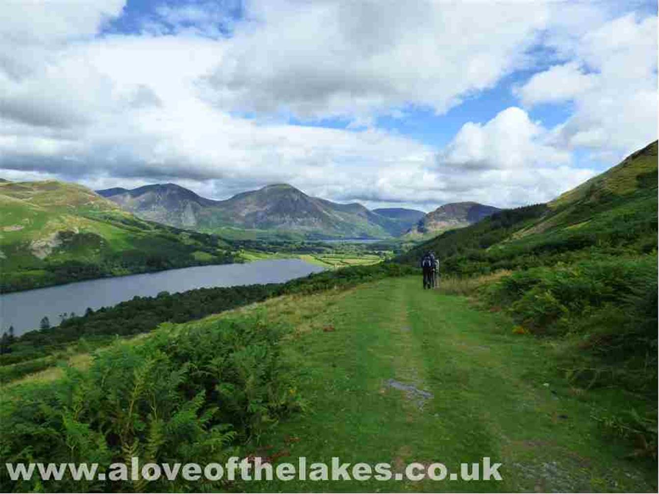 Just a short way down the circular path that provides some stunning views towards Buttermere