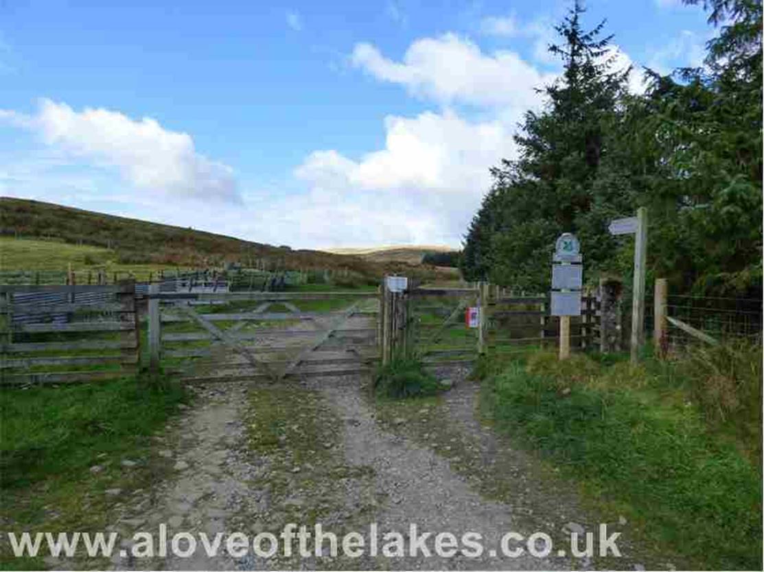 At the bottom end of the car park a stile gate gives access to the Old Coach Road that leads past the Cockley Moor
plantation over Matterdale Common

