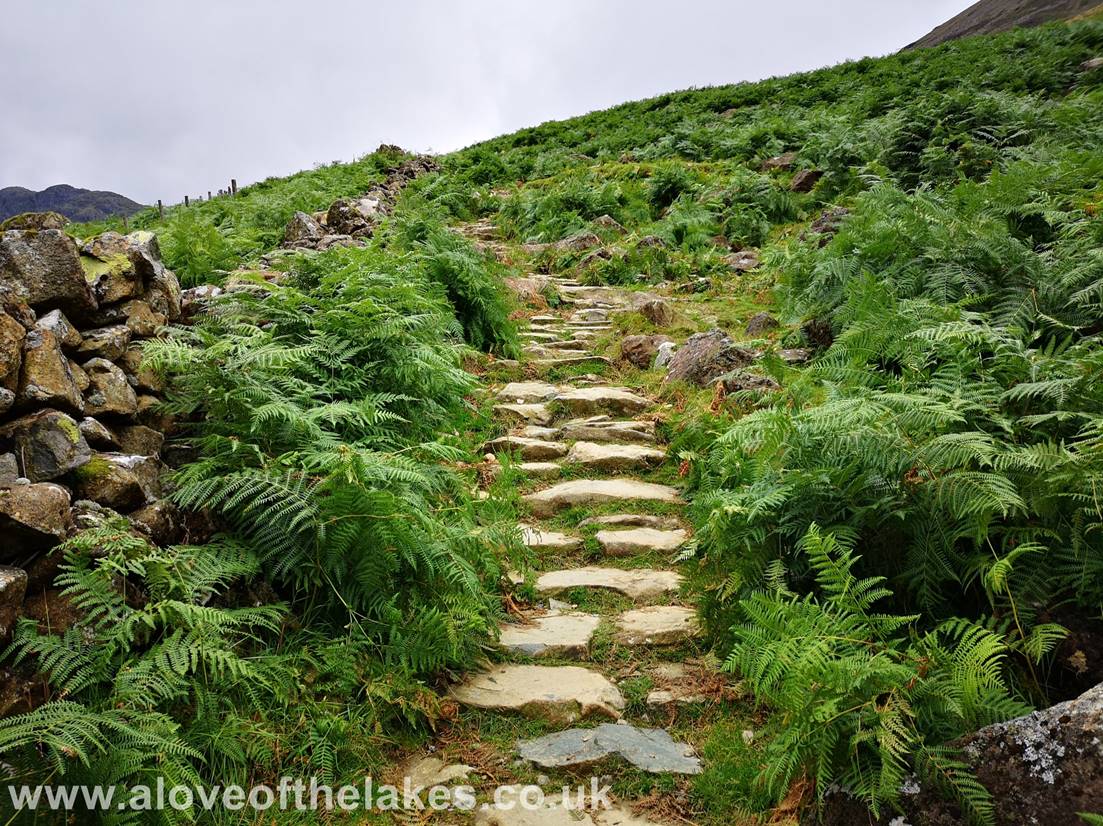 A love of the Lakes - stepped path