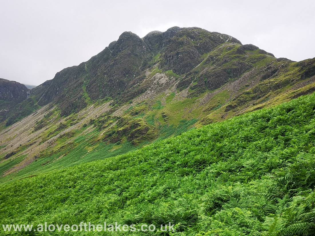 A love of the lakes - Haystacks from the path