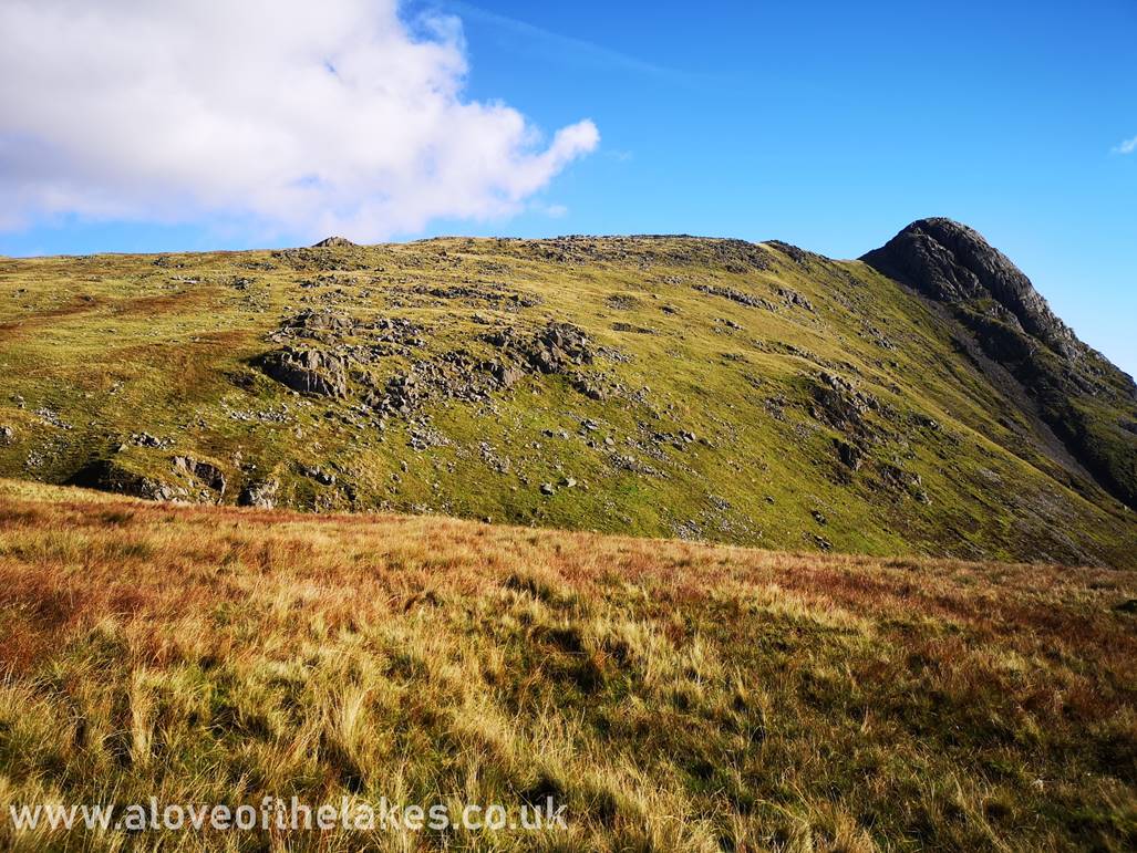 We have now reached the top of Martcrag Moor and at this point it is a bit of a walk of flat pathless grass
to pick up the ridgeline that leads to Pike o Stickle (seen on the right)

