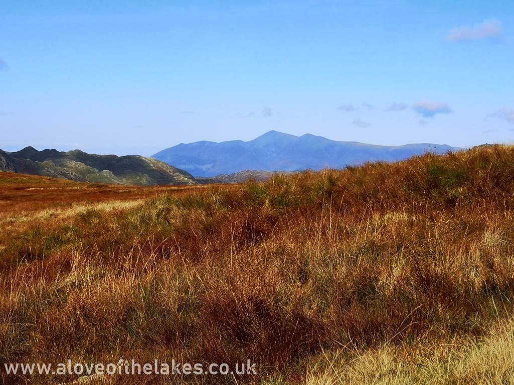 A view of the Skiddaw range from the approach to the ridge line