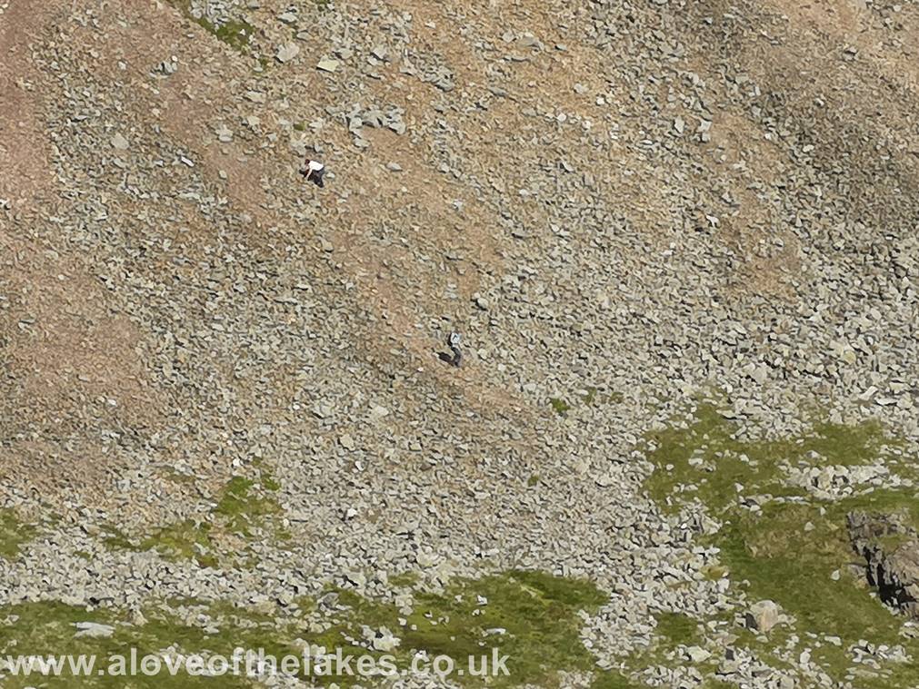 As we journeyed back down we saw this couple who had somehow got lost coming down from Great Gable 
and ended up sliding down the steep scree face  Definitely NOT recommended !!
