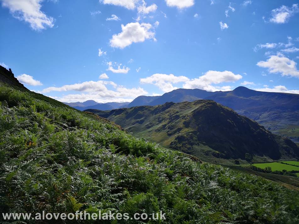 Looking back towards Rannerdale Knotts and the High Stile ridge line