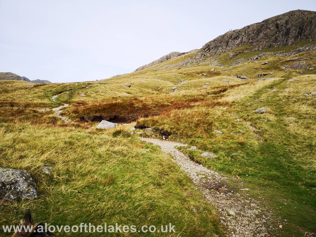 The first objective is to reach the col between Pike o Blisco and Cold Pike near Red Tarn 
