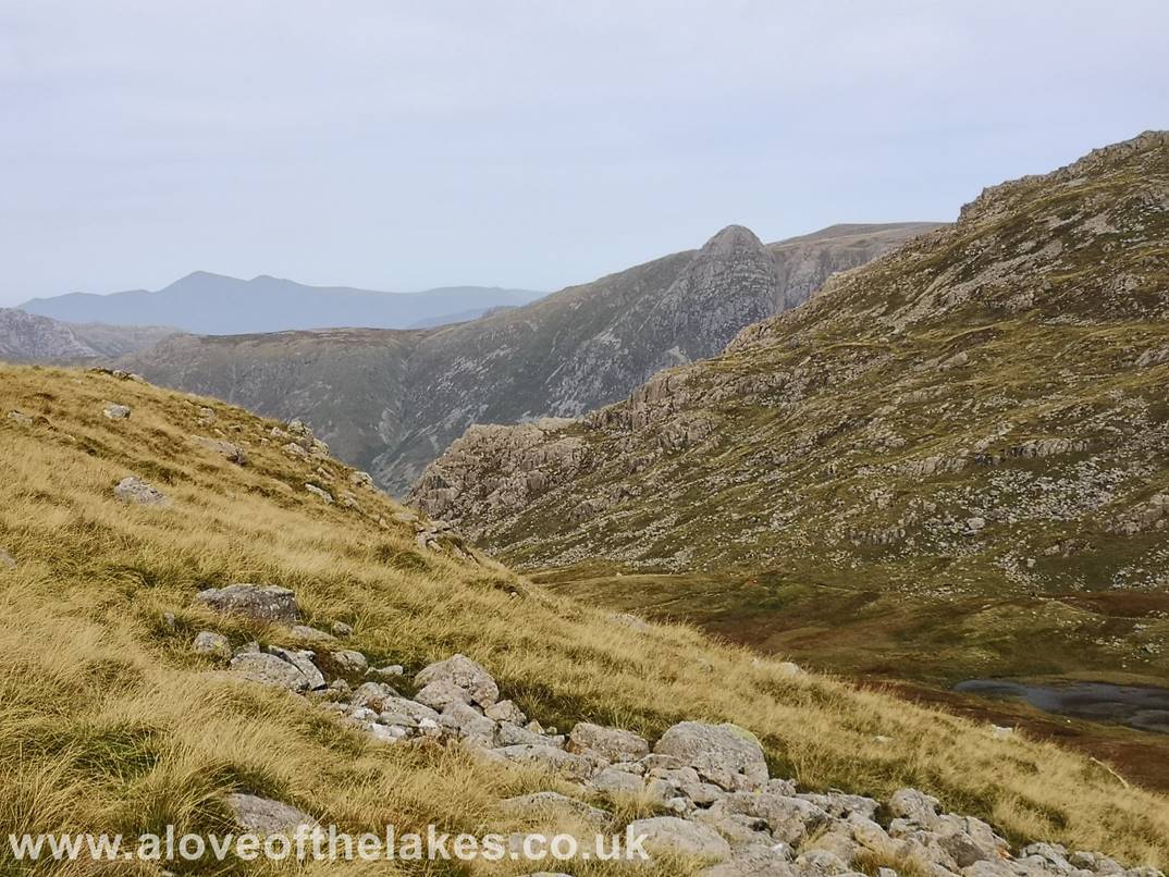 Looking across to Pike o Stickle from the summit approach