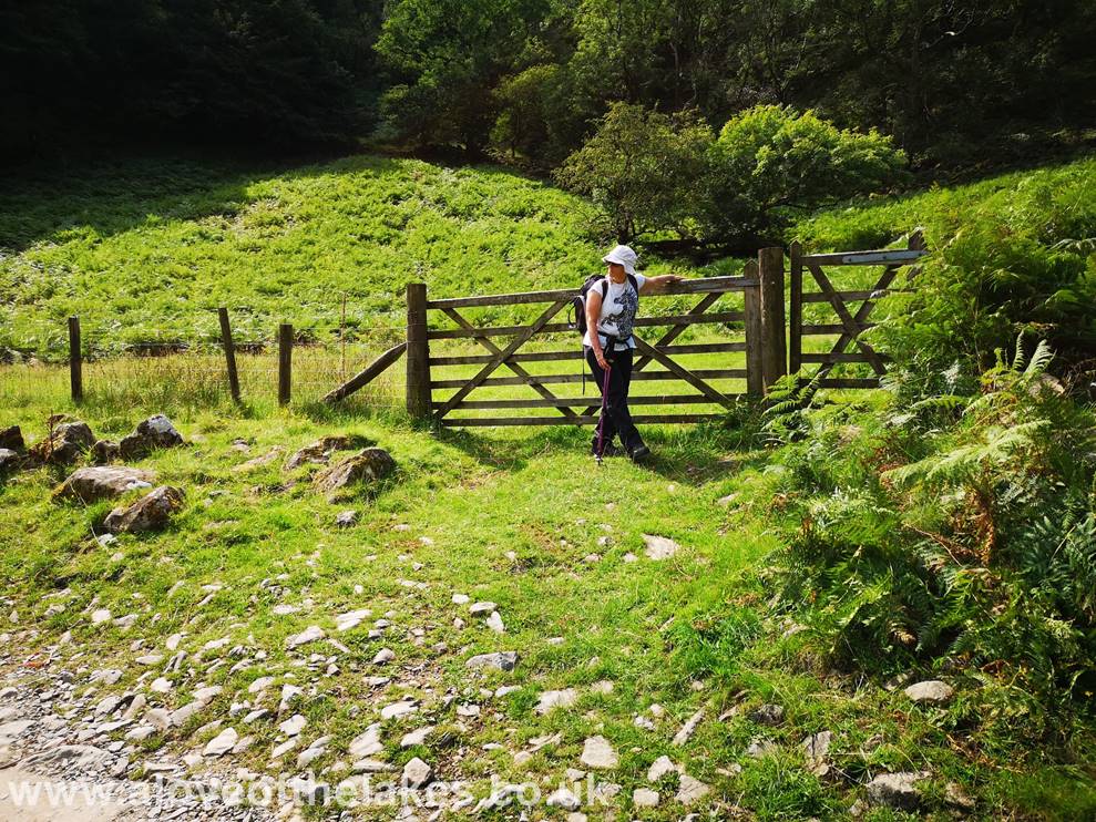 A love of the Lakes - Directly opposite the camp site entrance on the left a wooden gate gives access to the steep path that
runs parallel to Big Stanger Gill
