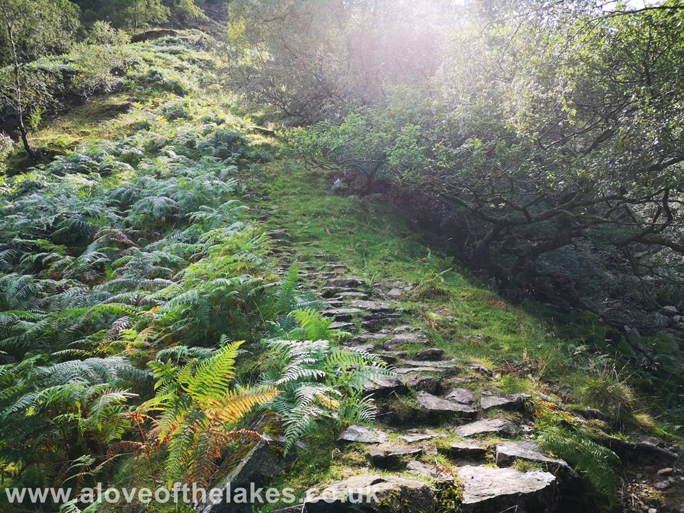 A love of the Lakes - The path climbs ever more steeply