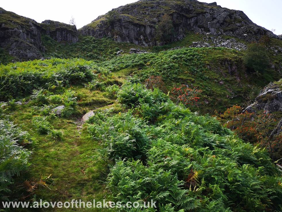 A love of the Lakes - The path skirts right round the base of a number of rock outcrops known as Rancom Bands