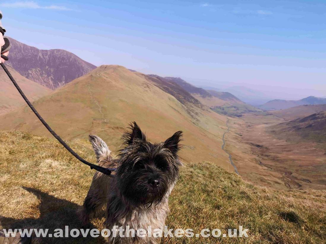 Spud braces himself for the steep climb ahead