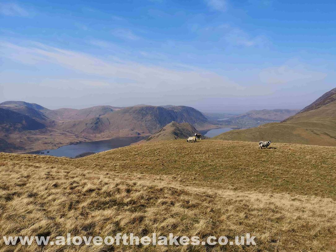 Looking back to Buttermere and Crummock Water from the top of Hiigh Snockrigg