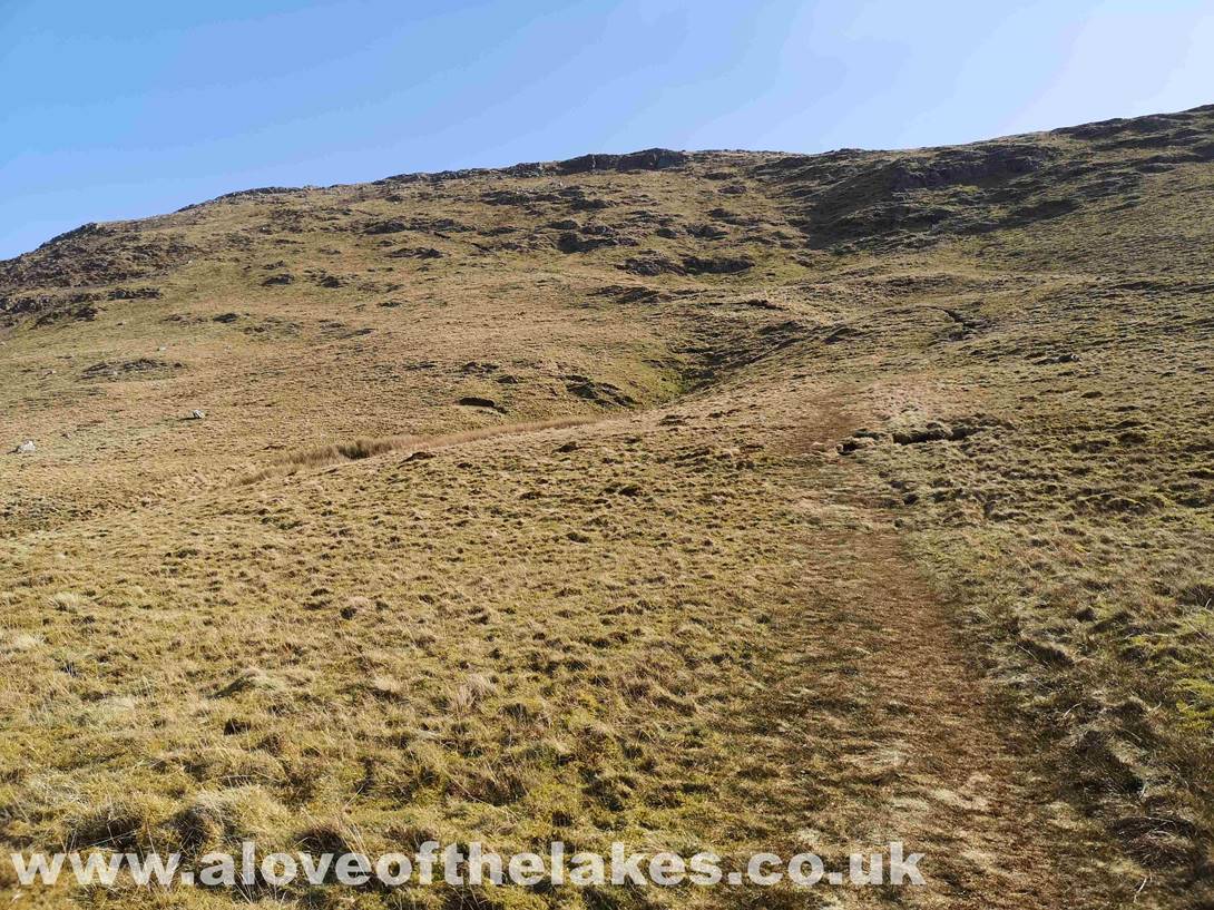 As the path climbs to reach the ridgeline of Robinson it becomes drier underfoot