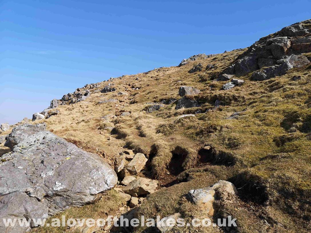 Approaching the ridgeline. The summit is not too far away now