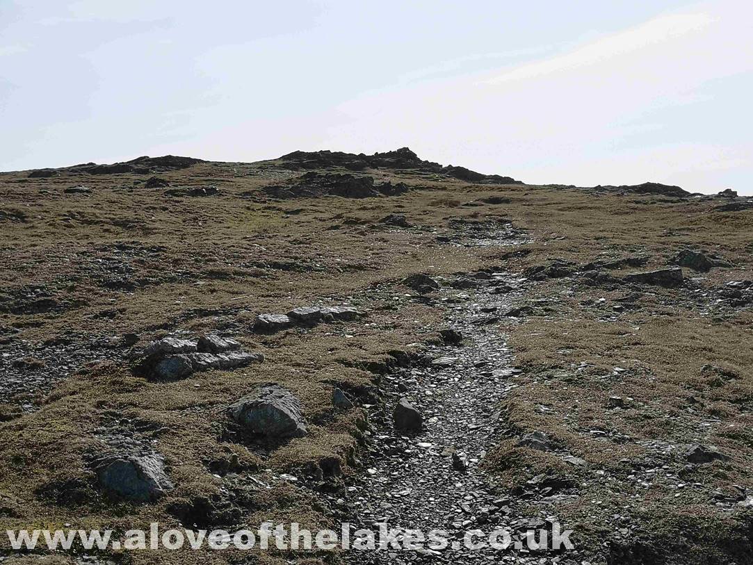 Approaching the summit of Robinson