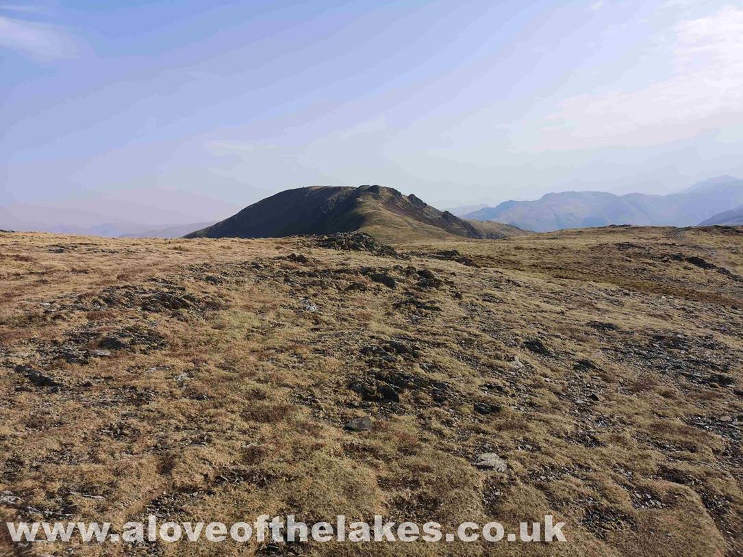 We choose to visit Dale Head first  the path is straight forward. In the upper reaches a little rock handling is required
to reach the main summit cairn
