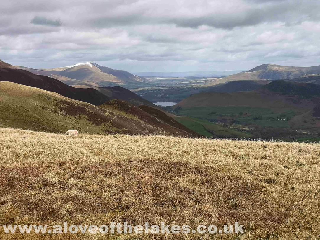 Approaching the summit of Knott Rigg and a lovely view across to Derwent Water towards Blencathra

