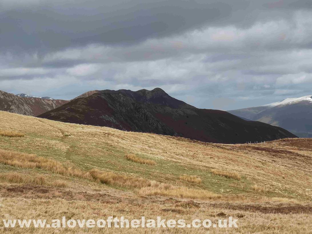 Causey Pike from near the summit
