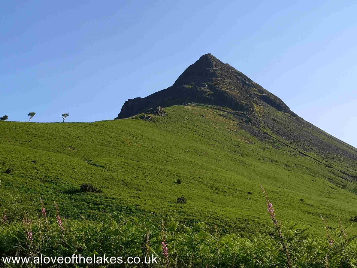 Out on the open fell side and looking up to the imposing sight of Bell Rib on Yewbarrow