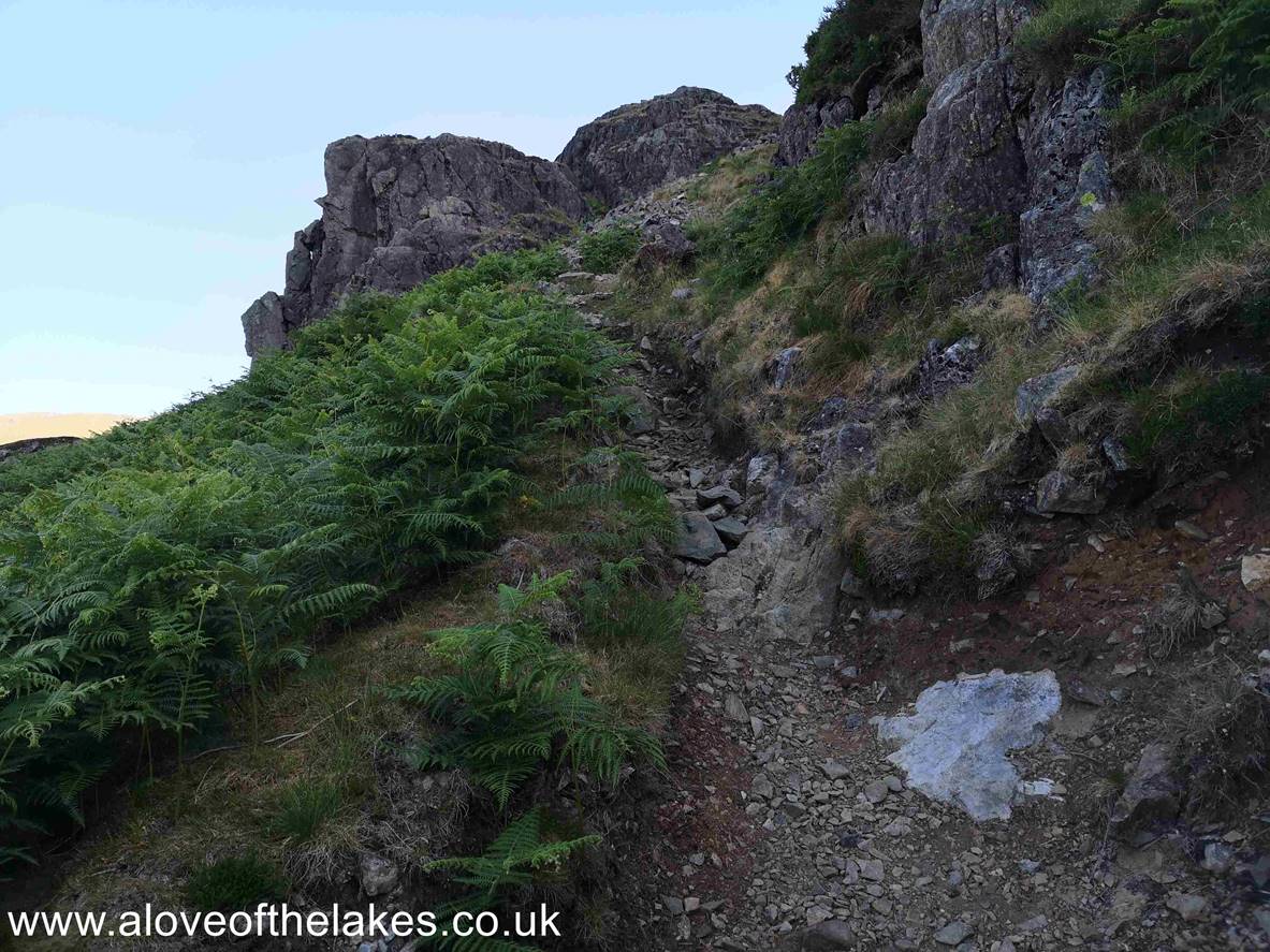 The climb now starts in earnest as the path zig zags its way towards Dropping Crag
