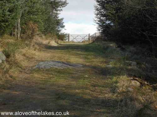 The gate at the end of the path