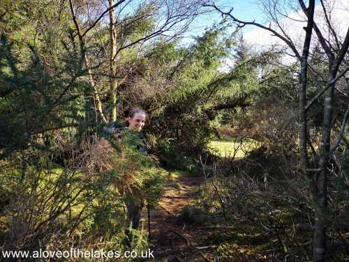 Looking back to the entrance of the track off the main path